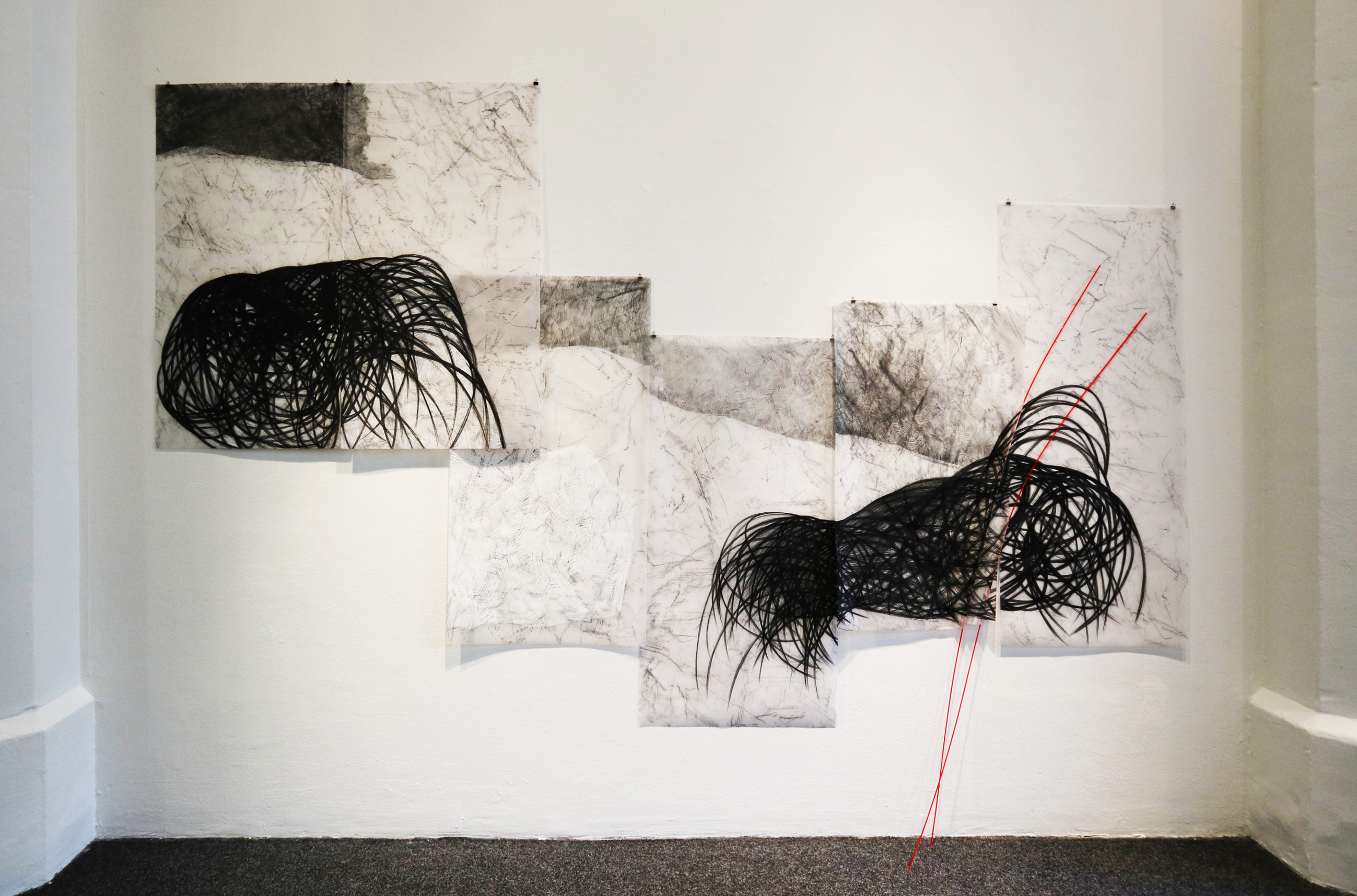 Lofotische Landschaft