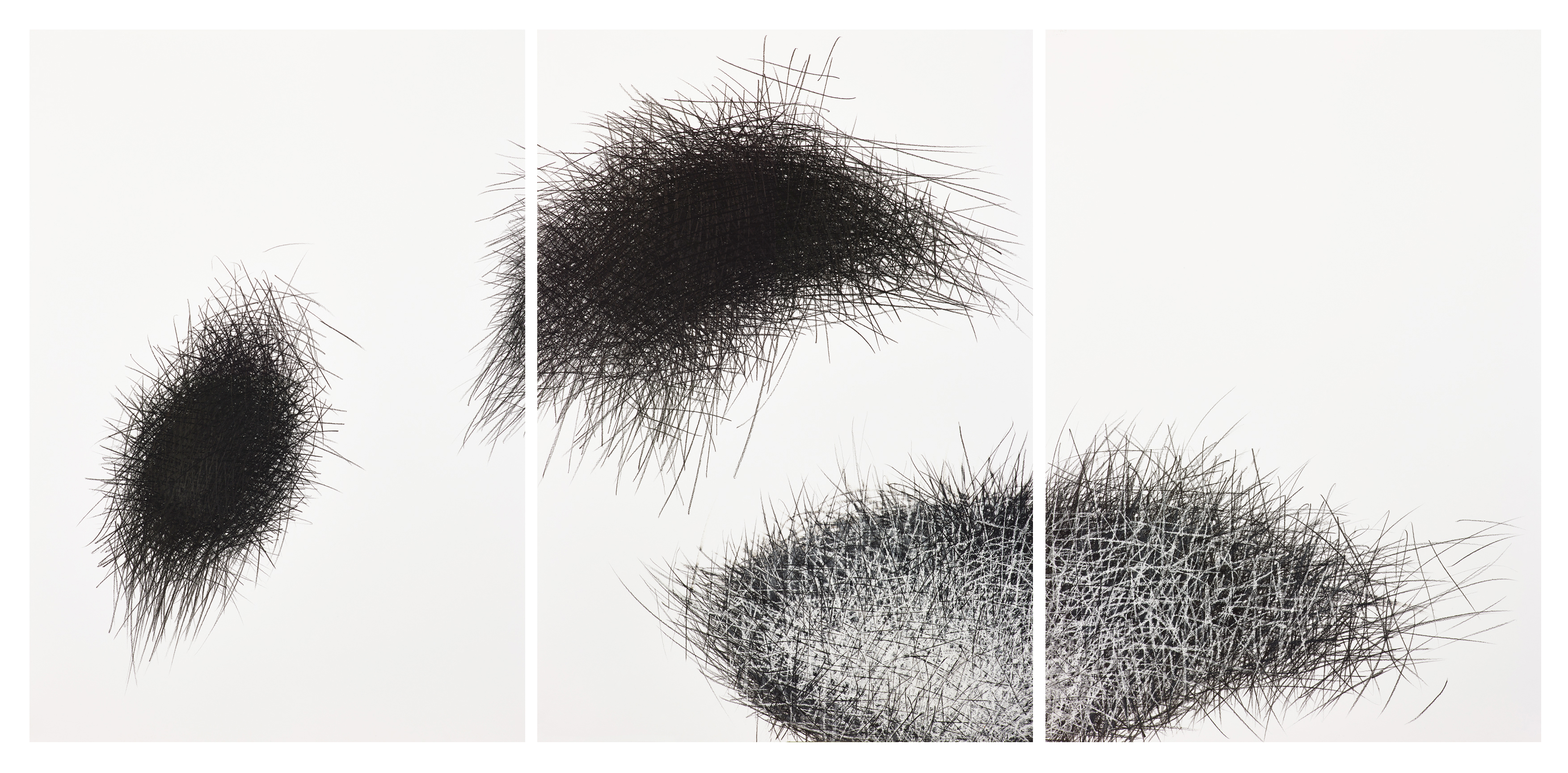 triptych Kalamität I