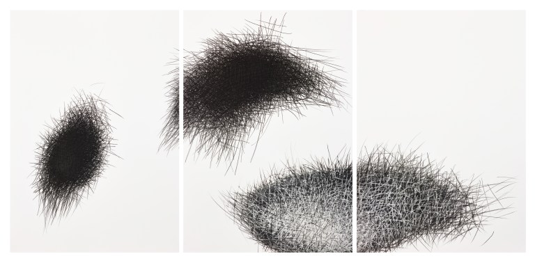 triptych Kalamität I