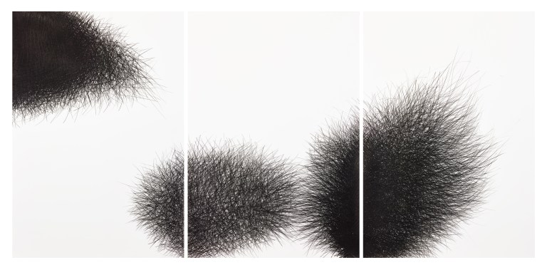 triptych Kalamität II